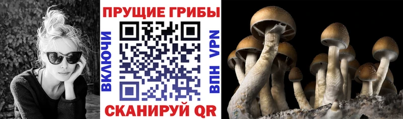 Галлюциногенные грибы Cubensis  kraken ONION  Зима 